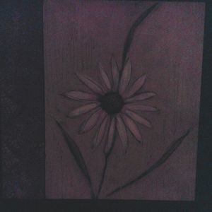 Meet your Posher, Letitia shealey